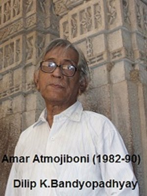 cover image of Amar Atmojibini (1982-1990)